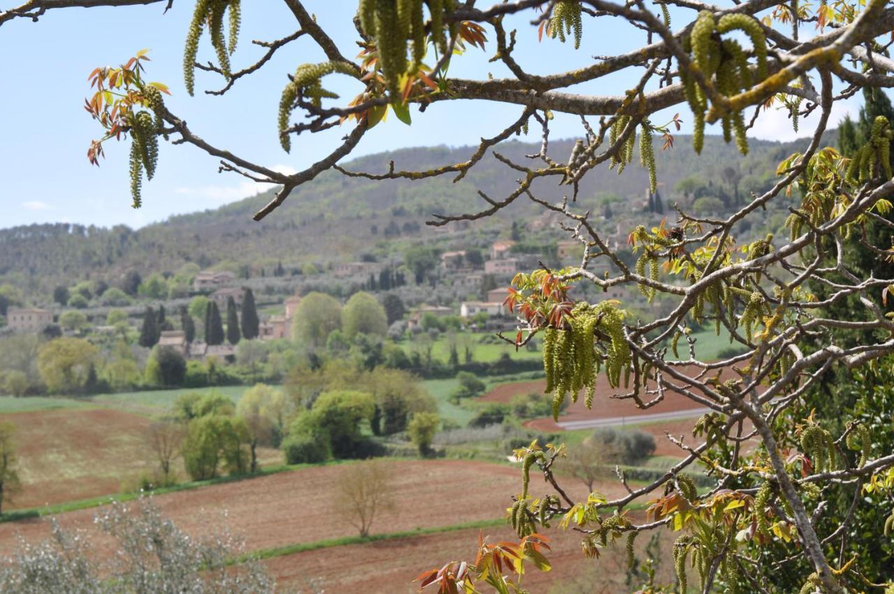 Il Pero Di Cetinale Villa Sovicille Exterior foto