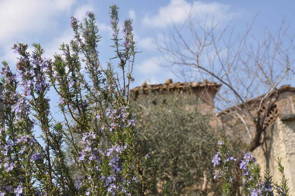 Il Pero Di Cetinale Villa Sovicille Exterior foto